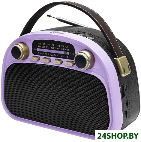 Радиоприемник Ritmix RPR-040 (лавандовый) Радиоприемник Ritmix RPR-040 (лавандовый)