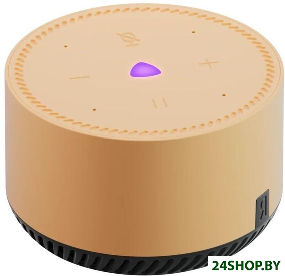 Умная колонка Яндекс Станция Лайт YNDX-00025B (капучино) Умная колонка Яндекс Станция Лайт YNDX-00025B (капучино)
