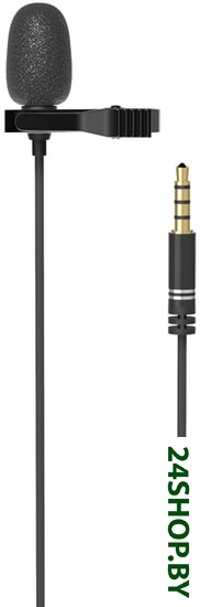 Петличный микрофон Ritmix RCM-110 Петличный микрофон Ritmix RCM-110