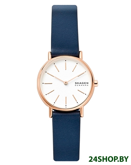Наручные часы Skagen SKW2838 Наручные часы Skagen SKW2838
