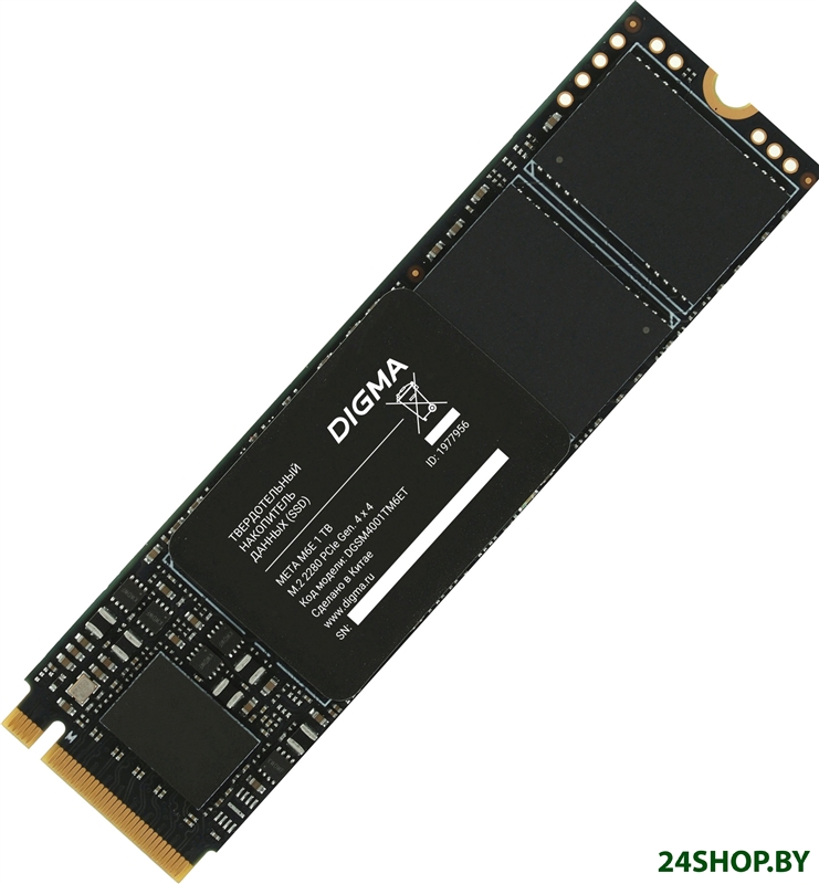 SSD Digma Meta M6E 1TB DGSM4001TM6ET SSD Digma Meta M6E 1TB DGSM4001TM6ET