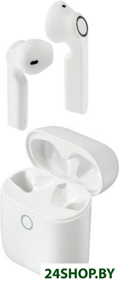 Наушники Panasonic RZ-B100WDGCW Наушники Panasonic RZ-B100WDGCW