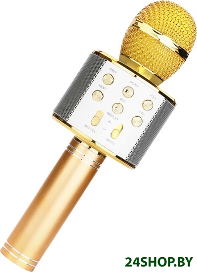 Микрофон Wster WS-858 (золотистый) Микрофон Wster WS-858 (золотистый)
