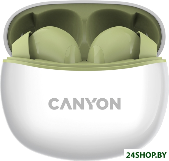 Наушники Canyon CNS-TWS5GR Наушники Canyon CNS-TWS5GR