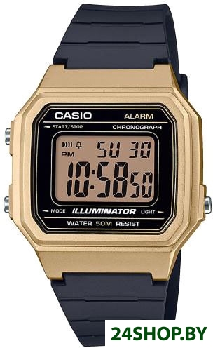 Наручные часы Casio Collection W-217HM-9A Наручные часы Casio Collection W-217HM-9A