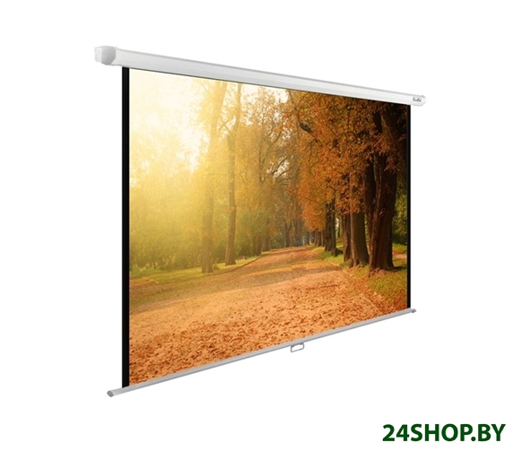 Проекционный экран Cactus WallExpert CS-PSWE-200x125-WT Проекционный экран Cactus WallExpert CS-PSWE-200x125-WT