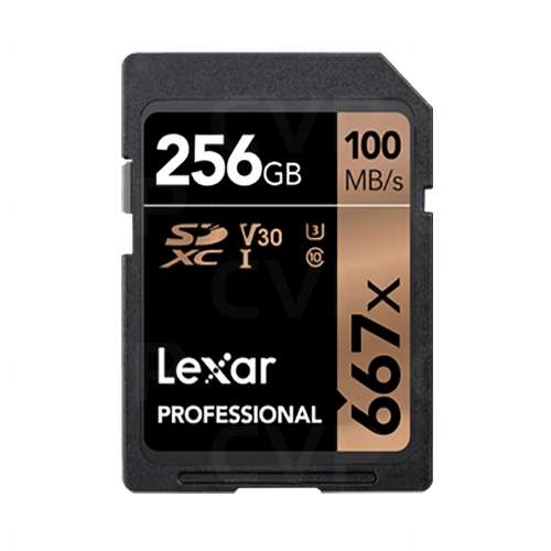Карта памяти Lexar 256Gb LSD256B667 Карта памяти Lexar 256Gb LSD256B667