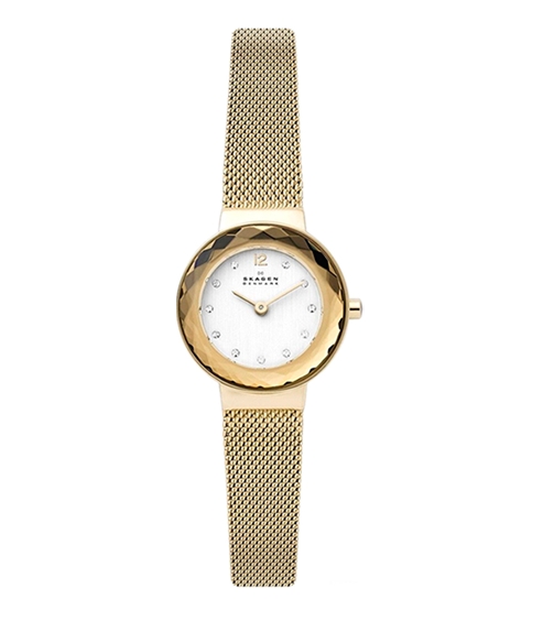 Наручные часы Skagen SKW2800 Наручные часы Skagen SKW2800
