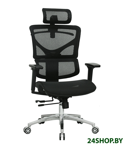 Кресло Evolution ERGO Mesh (черный) Кресло Evolution ERGO Mesh (черный)