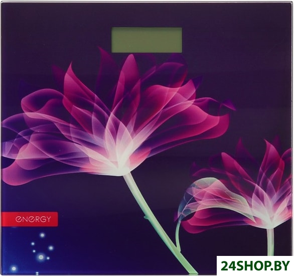 Весы напольные Energy EN-419G Весы напольные Energy EN-419G