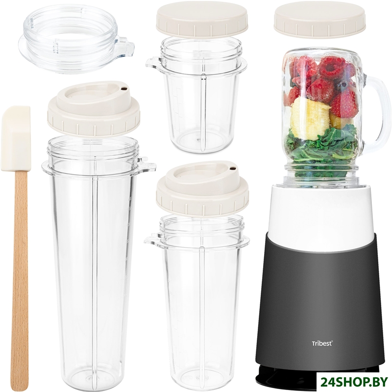 Стационарный блендер Tribest Personal Blender II Mason Jar Ready PB-430 (серый) Стационарный блендер Tribest Personal Blender II Mason Jar Ready PB-430 (серый)