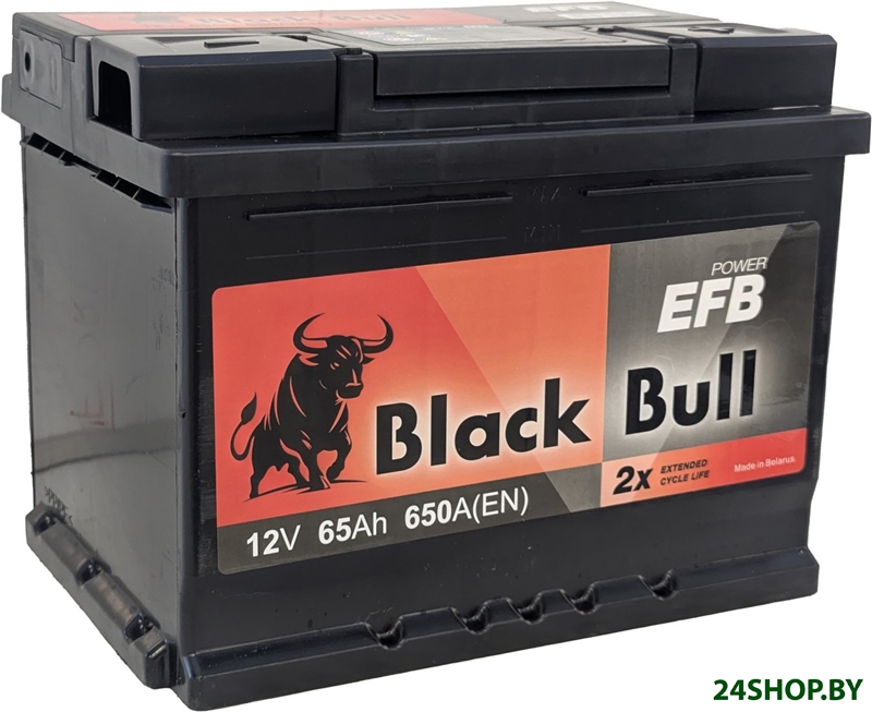 Автомобильный аккумулятор Black Bull EFB R+ (65 А·ч) Автомобильный аккумулятор Black Bull EFB R+ (65 А·ч)