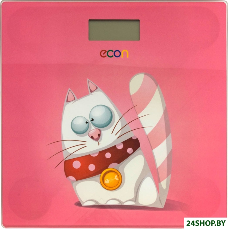 Напольные весы Econ ECO-BS017 Напольные весы Econ ECO-BS017