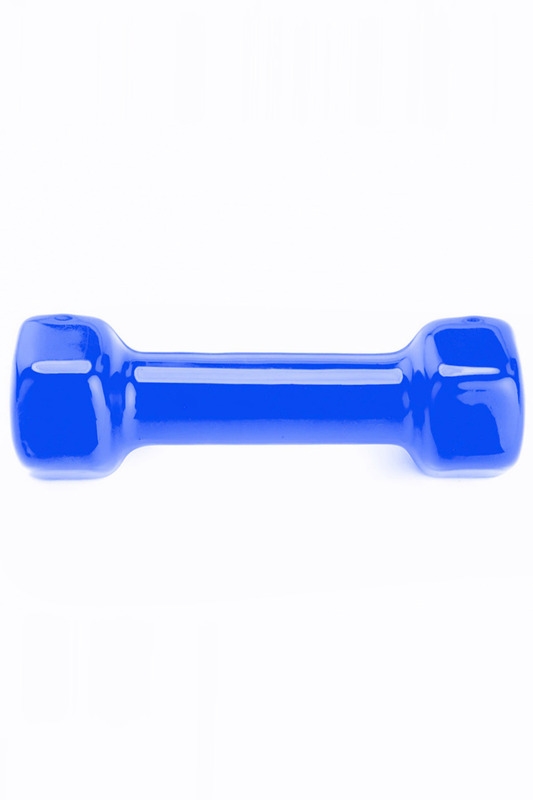 Гантель BRADEX SF 0160 (1 кг, синий) Гантель BRADEX SF 0160 (1 кг, синий)