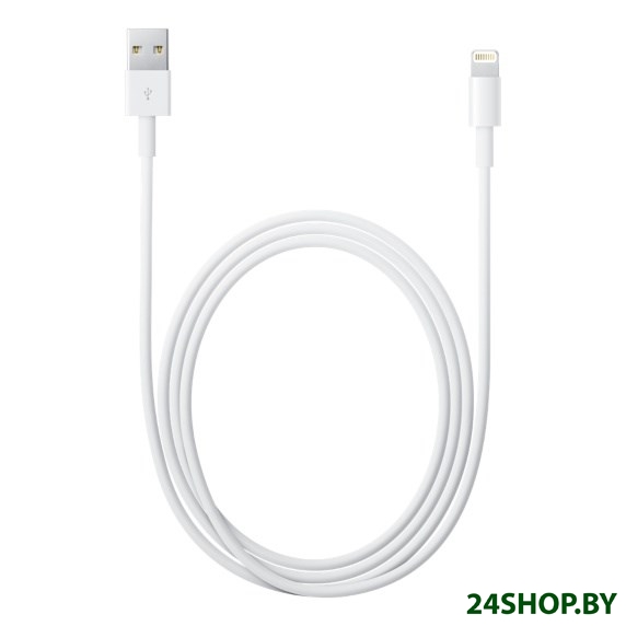 Переходник Apple MD818ZM/A Переходник Apple MD818ZM/A