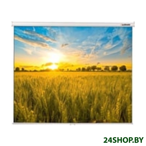 Экран Lumien Eco Picture LEP-100121 Экран Lumien Eco Picture LEP-100121