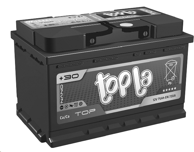 Автомобильный аккумулятор Topla TOP (55 А/ч) (118655) Автомобильный аккумулятор Topla TOP (55 А/ч) (118655)