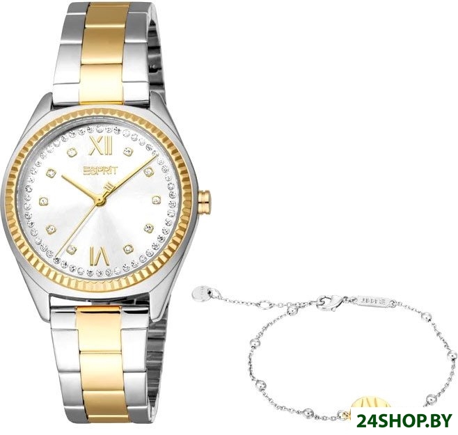 Наручные часы Esprit ES1L403M0085 Наручные часы Esprit ES1L403M0085