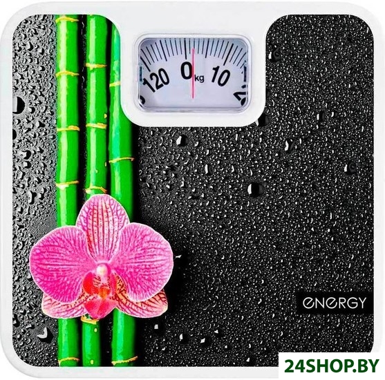 Весы напольные Energy ENM-409D (003116) Весы напольные Energy ENM-409D (003116)