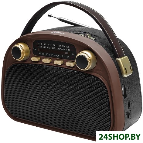 Радиоприемник Ritmix RPR-040 (шоколадный) Радиоприемник Ritmix RPR-040 (шоколадный)
