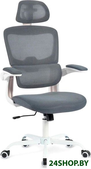 Офисное кресло byRoom Office Сhallenge HS-6305W-2-DG (темно-серый) Офисное кресло byRoom Office Сhallenge HS-6305W-2-DG (темно-серый)