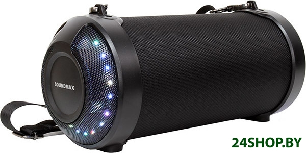 Портативная аудиосистема Soundmax SM-PS5025B Портативная аудиосистема Soundmax SM-PS5025B