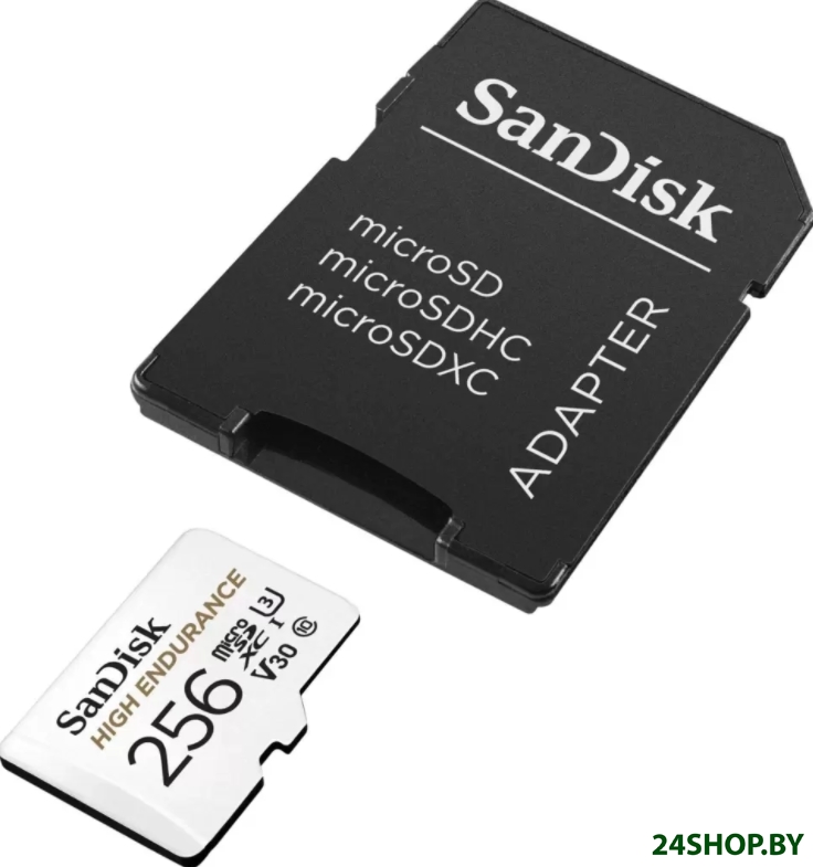 Карта памяти SanDisk High Endurance microSDXC SDSQQNR-256G-GN6IA 256GB Карта памяти SanDisk High Endurance microSDXC SDSQQNR-256G-GN6IA 256GB