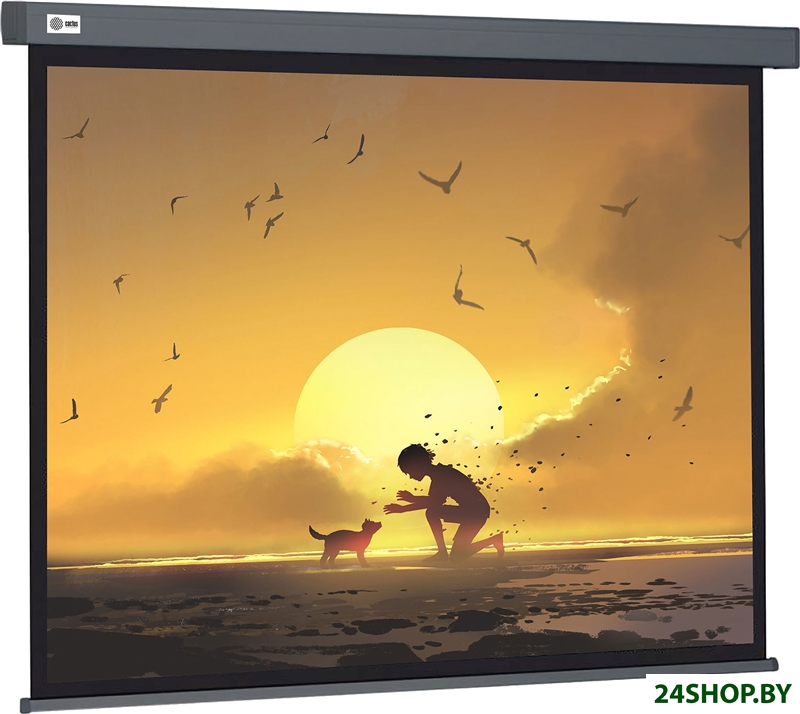 Проекционный экран CACTUS Wallscreen 124x221 CS-PSW-124X221-SG Проекционный экран CACTUS Wallscreen 124x221 CS-PSW-124X221-SG