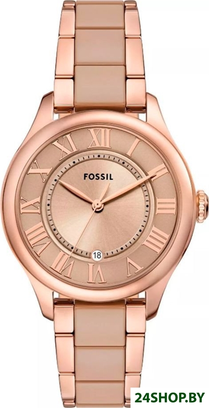 Наручные часы Fossil CE1133 Наручные часы Fossil CE1133