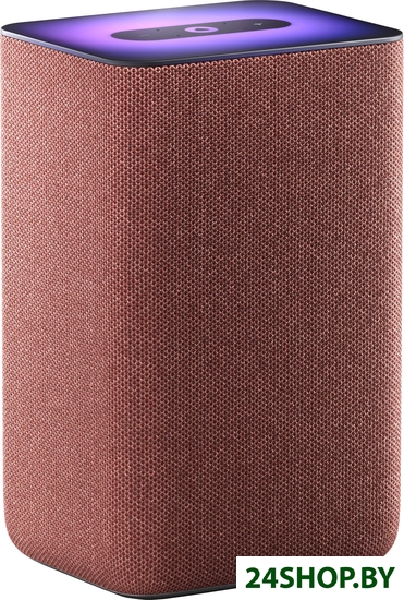 Умная колонка Яндекс Станция 2 YNDX-00051C (медный) Умная колонка Яндекс Станция 2 YNDX-00051C (медный)