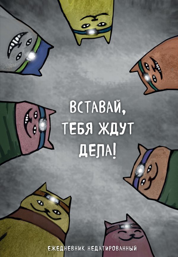 Коты-туристы. Вставай, тебя ждут дела. Ежедневник недатированный (А5, 72 л.) Коты-туристы. Вставай, тебя ждут дела. Ежедневник недатированный (А5, 72 л.)