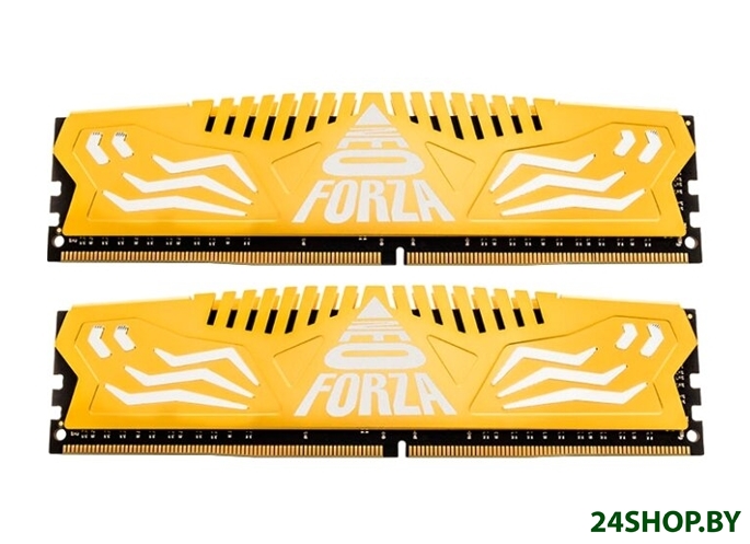 Оперативная память Neo Forza Encke 2x8GB DDR4 PC4-24000 NMUD480E82-3000DC20 Оперативная память Neo Forza Encke 2x8GB DDR4 PC4-24000 NMUD480E82-3000DC20