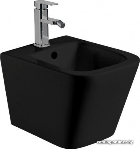 Биде WeltWasser Gelbach 005 MT-BL (черный матовый) Биде WeltWasser Gelbach 005 MT-BL (черный матовый)
