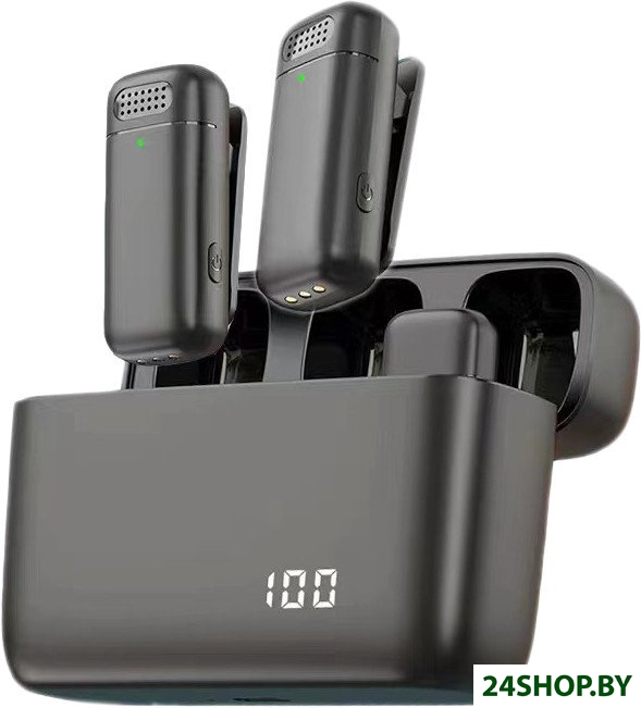 Радиосистема Miru MIC005 Радиосистема Miru MIC005