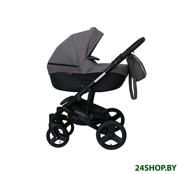 Детская универсальная коляска Ray Corsa Ecco 2 в 1 (28/кожа/капучино/черный) Детская универсальная коляска Ray Corsa Ecco 2 в 1 (28/кожа/капучино/черный)