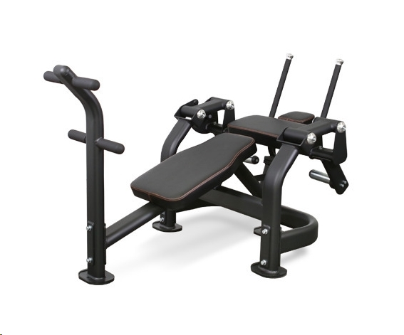 Скамья для пресса Bronze Gym PL-1720 Скамья для пресса Bronze Gym PL-1720
