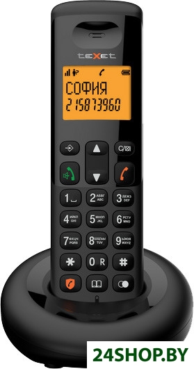 Радиотелефон TeXet TX-D4905A (черный) Радиотелефон TeXet TX-D4905A (черный)