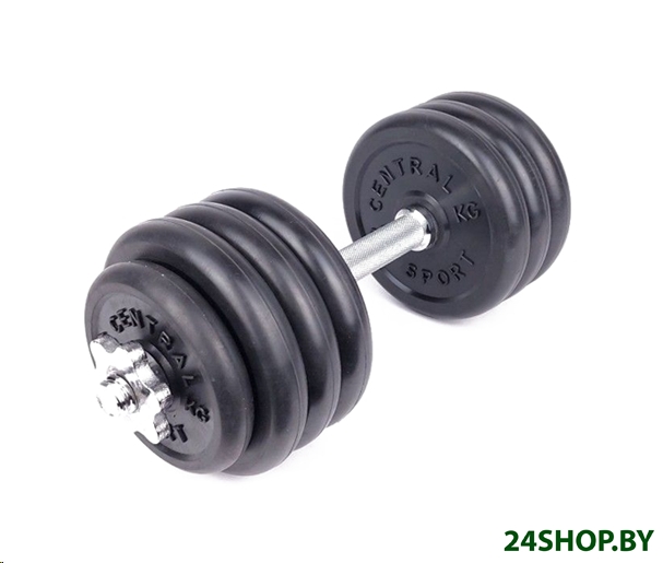 Гантель разборная Central Sport N2 19.5 кг Гантель разборная Central Sport N2 19.5 кг