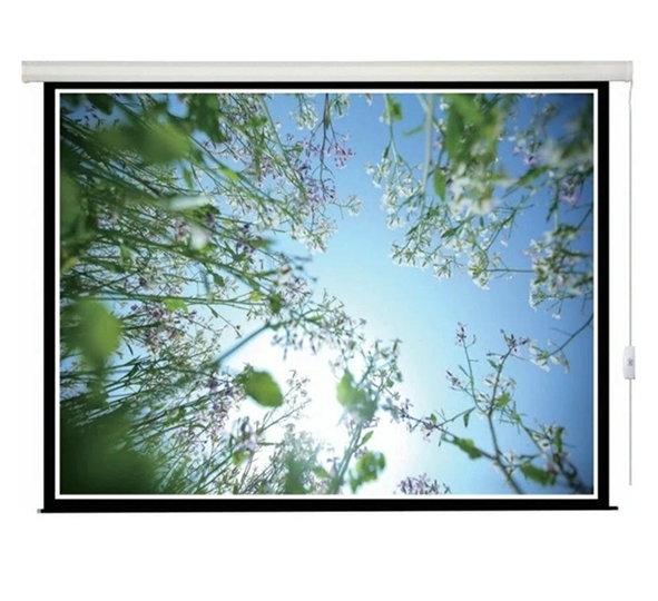 Проекционный экран Lumien Master Picture CSR 197х231 LMP-100107CSR Проекционный экран Lumien Master Picture CSR 197х231 LMP-100107CSR
