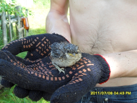 Результаты конкурса "23 февраля: подарок герою!"