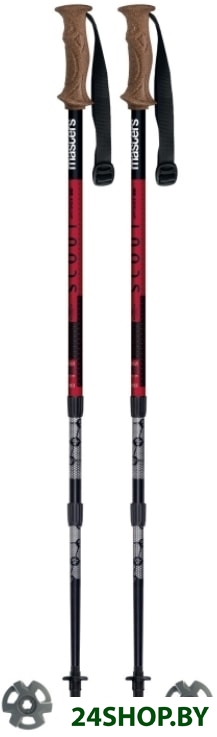 Треккинговые палки Masters Scout Antishock CSS 01S4919 Треккинговые палки Masters Scout Antishock CSS 01S4919