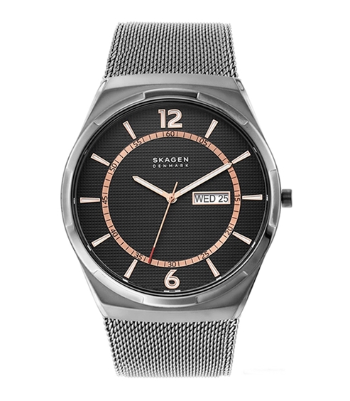 Наручные часы Skagen SKW6575 Наручные часы Skagen SKW6575