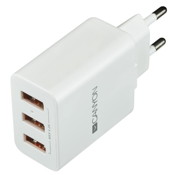 Сетевое зарядное CANYON CNE-CHA05W Сетевое зарядное CANYON CNE-CHA05W