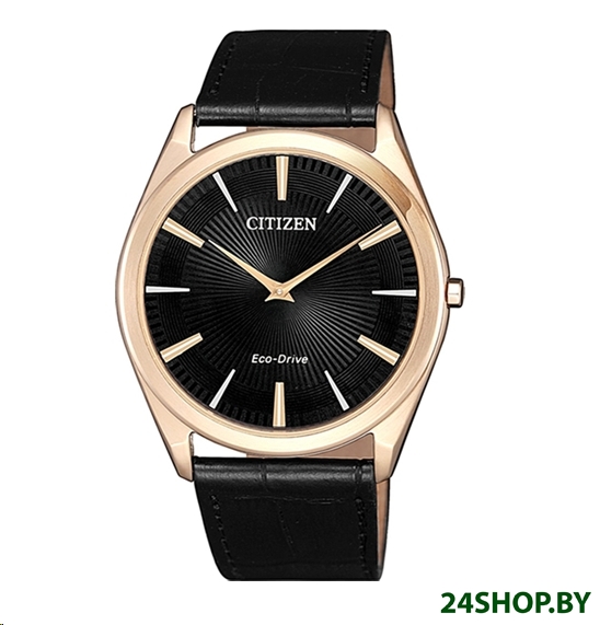 Наручные часы Citizen AR3073-06E Наручные часы Citizen AR3073-06E
