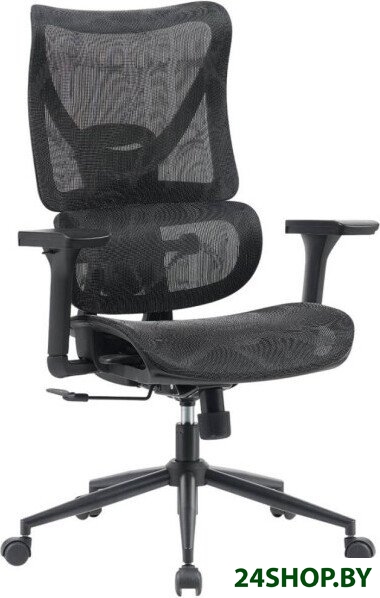 Офисное кресло myroo Office Wizard HS-3853H-1-B (black) Офисное кресло myroo Office Wizard HS-3853H-1-B (black)