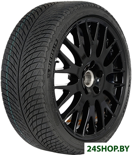 Автомобильные шины Michelin Pilot Alpin 5 305/30R21 104V Автомобильные шины Michelin Pilot Alpin 5 305/30R21 104V