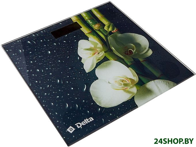 Напольные весы Delta D-9219/1 (цветущий бамбук) Напольные весы Delta D-9219/1 (цветущий бамбук)