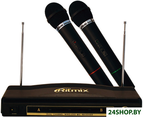 Микрофонная система беспроводная Ritmix RWM-220 Микрофонная система беспроводная Ritmix RWM-220