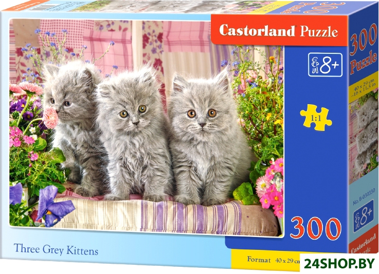 Пазл Castorland Три котенка B-030330 (300 эл) Пазл Castorland Три котенка B-030330 (300 эл)