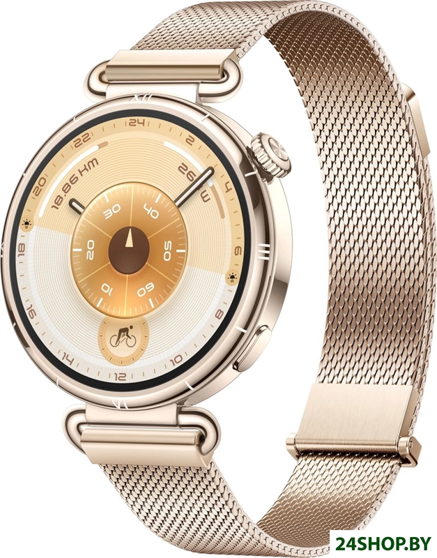 Умные часы Huawei Watch GT 6 41 мм (золотистый, с золотистым миланским браслетом, международная верс Умные часы Huawei Watch GT 6 41 мм (золотистый, с золотистым миланским браслетом, международная верс